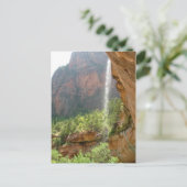 Carte Postale Parc national de Zion (Debout devant)