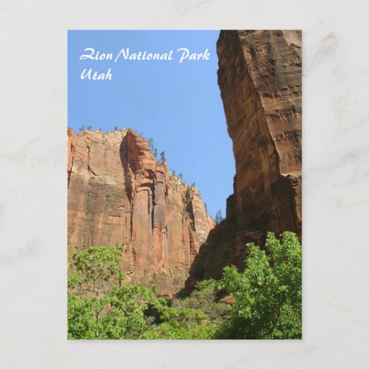 Carte Postale Parc national de Zion (Devant)