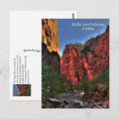 Carte Postale Parc national de Zion (Devant / Derrière)