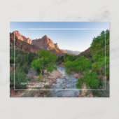 Carte Postale Parc national de Zion, rivière Virgin (Devant)