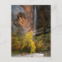 Parc national de Zion, Utah. États-Unis Éphémère