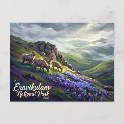 Carte Postale Parc national d'Eravikulam Inde (Devant)
