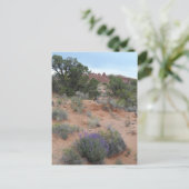 Carte Postale Parc national des Arches (Debout devant)