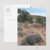Carte Postale Parc national des Arches (Devant / Derrière)