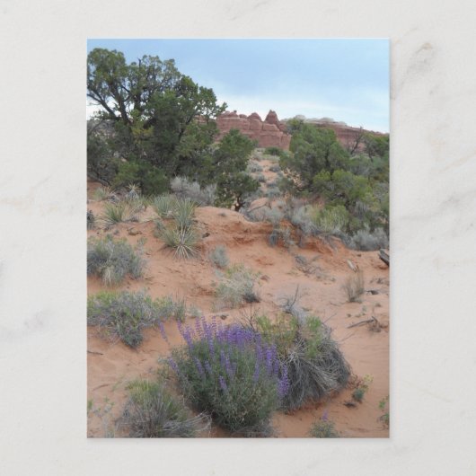 Carte Postale Parc national des Arches (Devant)