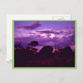 Carte Postale Parc national des Cavernes Carlsbad (Devant / Derrière)