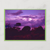 Carte Postale Parc national des Cavernes Carlsbad (Devant)