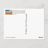 Carte Postale Parc national des Dunes de sable (Dos)