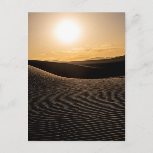 Carte Postale Parc national des dunes de sable blanc (Devant)