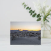 Carte Postale Parc national des dunes de sable blanc (Debout devant)