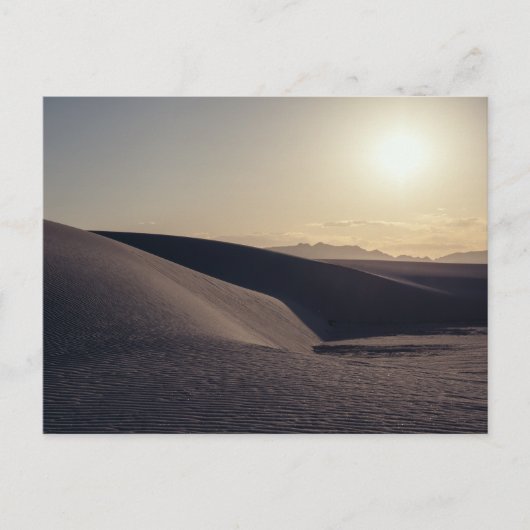 Carte Postale Parc national des dunes de sable blanc (Devant)