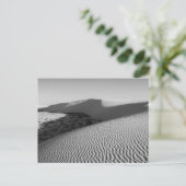 Carte Postale Parc national des dunes de sable blanc (Debout devant)