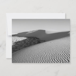 Carte Postale Parc national des dunes de sable blanc