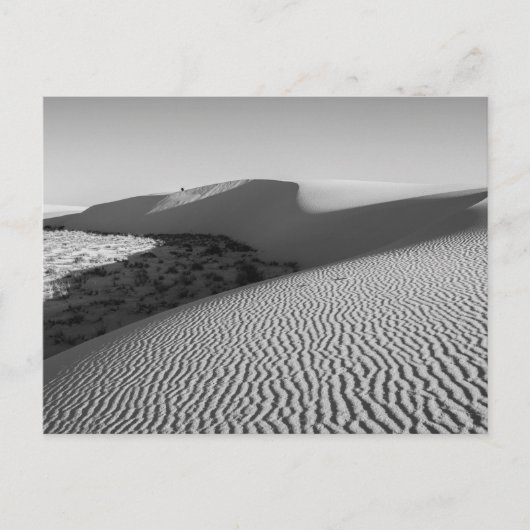 Carte Postale Parc national des dunes de sable blanc (Devant)