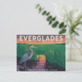 Carte Postale Parc national des Everglades (Debout devant)
