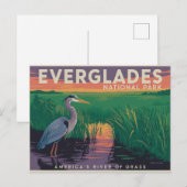 Carte Postale Parc national des Everglades (Devant / Derrière)