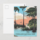 Carte Postale Parc national des Everglades (Devant / Derrière)