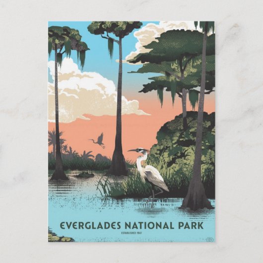 Carte Postale Parc national des Everglades (Devant)