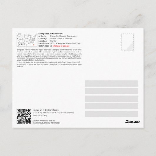 Carte Postale Parc national des Everglades - Crocodile américain (Dos)