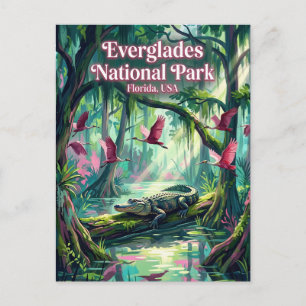 Carte Postale Parc national des Everglades États-Unis