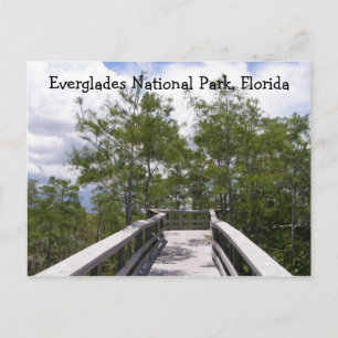 Carte Postale Parc national des Everglades, Floride