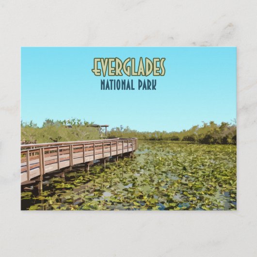 Carte Postale Parc national des Everglades Floride (Devant)