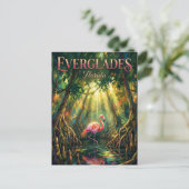 Carte Postale Parc national des Everglades Floride (Debout devant)