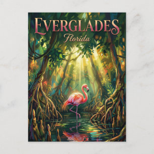 Carte Postale Parc national des Everglades Floride