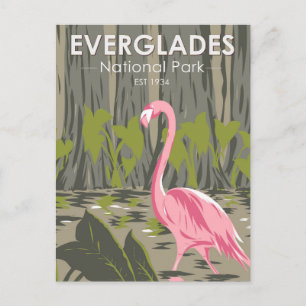 Carte Postale Parc national des Everglades Floride Flamant rose 