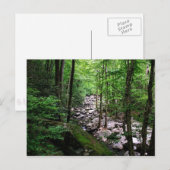 Carte Postale Parc national des Great Smoky Mountains (Devant / Derrière)