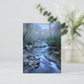 Carte Postale Parc national des Great Smoky Mountains (Debout devant)