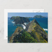 Carte Postale Parc national des îles Channel, Sud (Devant / Derrière)