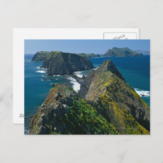 Carte Postale Parc national des îles Channel, Sud (Devant / Derrière)