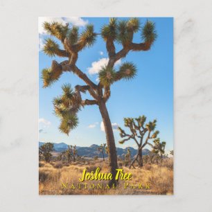 Carte Postale Parc national des Joshua Trees