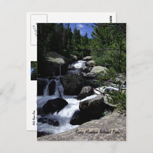 Carte Postale Parc national des Rocheuses (Devant / Derrière)