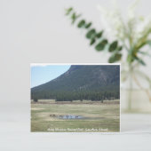 Carte Postale Parc national des Rocheuses à Estes park, CO (Debout devant)