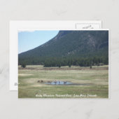 Carte Postale Parc national des Rocheuses à Estes park, CO (Devant / Derrière)