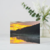 Carte Postale Parc national des Rocheuses Colorado (Debout devant)