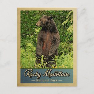 Carte Postale Parc national des Rocheuses Ours Vintage