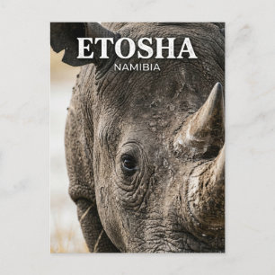 Carte Postale Parc national d'Etosha Namibie