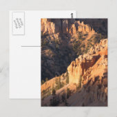 Carte Postale Parc national du Bryce Canyon (Devant / Derrière)