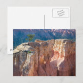 Carte Postale Parc national du Bryce Canyon (Devant / Derrière)