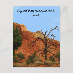 Carte Postale Parc national du Capitol Reef, Utah