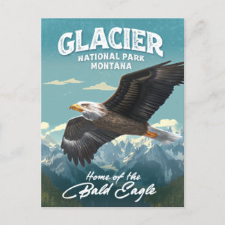 Carte Postale Parc national du Glacier Bald Eagle