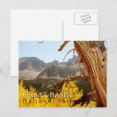 Carte Postale Parc national du Grand Bassin (Devant / Derrière)