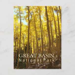 Carte Postale Parc national du Grand Bassin