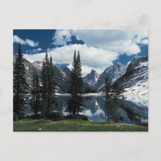 Carte Postale Parc national du Grand Teton, Wyoming (Devant)