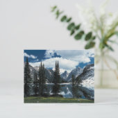 Carte Postale Parc national du Grand Teton, Wyoming (Debout devant)