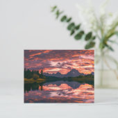 Carte Postale Parc national du Grand Teton, Wyoming (Debout devant)