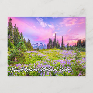 Carte Postale Parc national du Mont Rainier, Washington